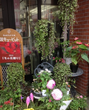 「あきつフルール」　（静岡県伊豆市）の花屋店舗写真4
