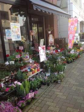 「あきつフルール」　（静岡県伊豆市）の花屋店舗写真2